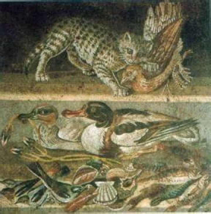 A Mosaic Of Staged Hunts