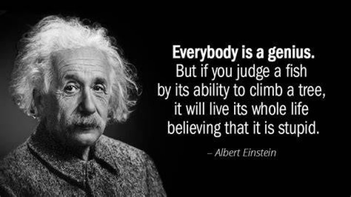 Albert Einstein Quotes About Facts