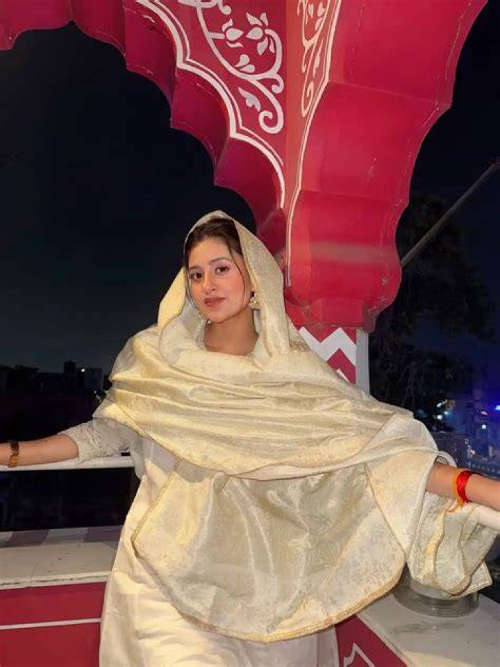 Anjali Arora Wikipedia, Early Life (Age, Birthday, Education)