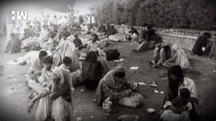 Bhopal Diaster Bodies