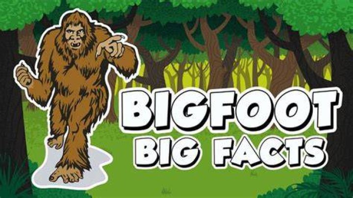 Bigfoot Facts
