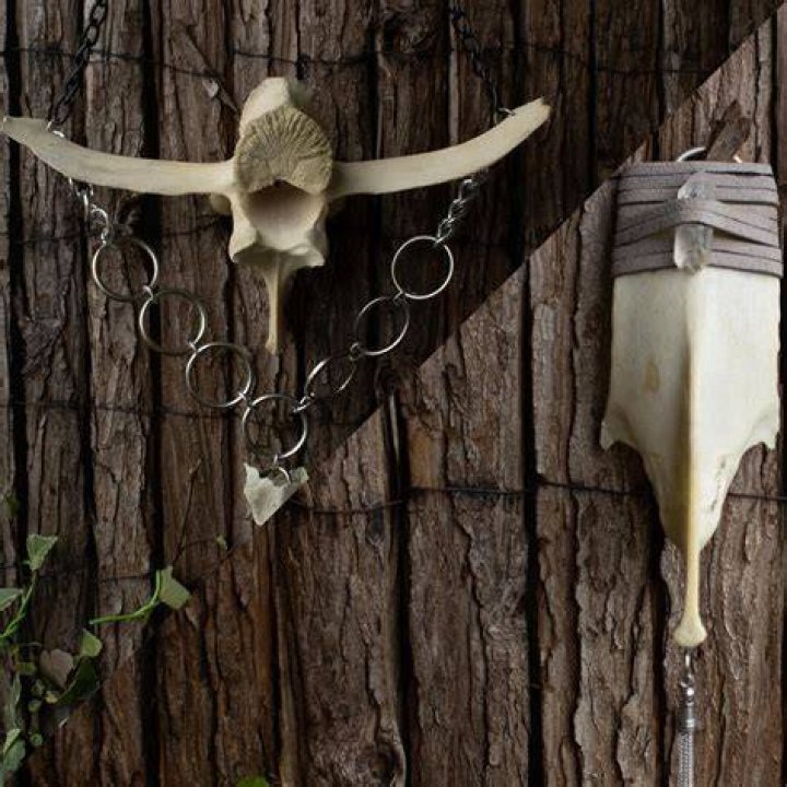 Bone Wall At Saint Bavos