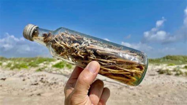 Bottle Packed With Sticks