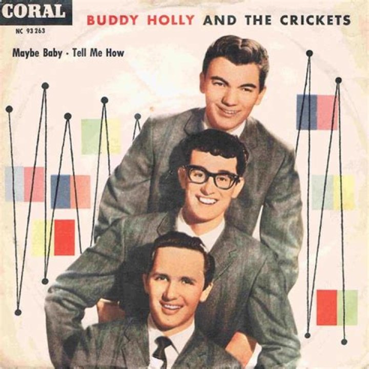 Buddy Holly And The Crickets