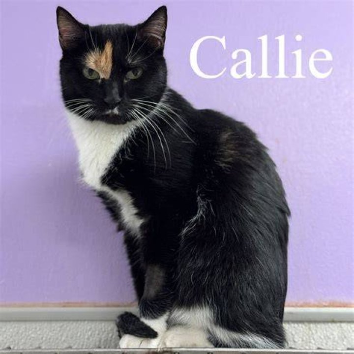 Callie with her friend