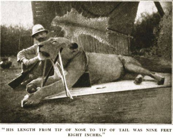 Colonel Patterson Tsavo Lions
