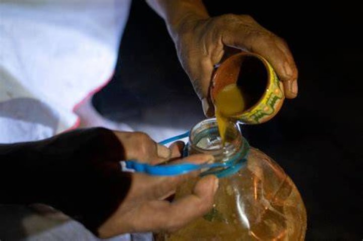 Dr Pours Ayahuasca