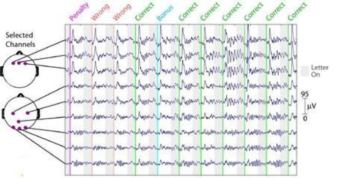 EEG Data