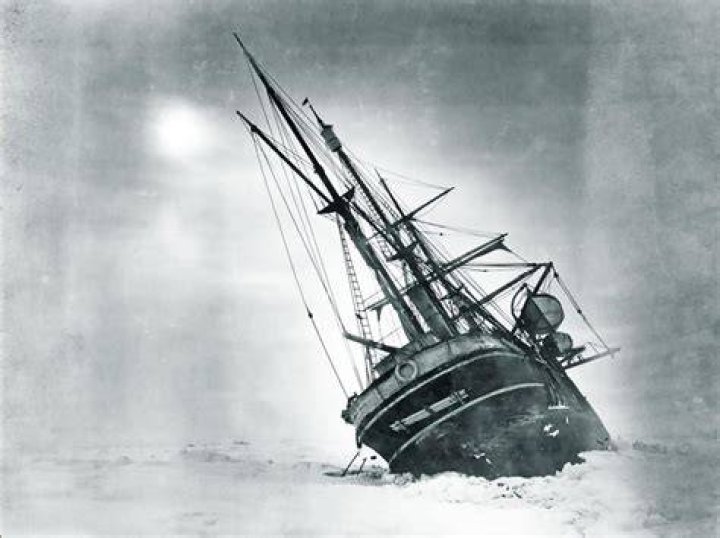 Endurance Ship