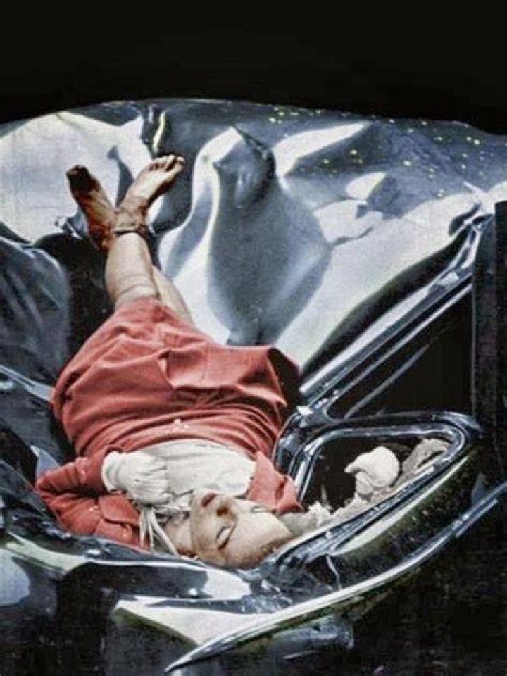 Evelyn McHale Dead Body