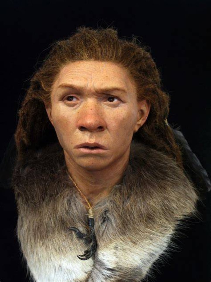 Female Neanderthal