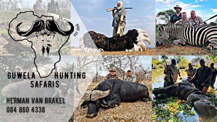 Guwela Safaris