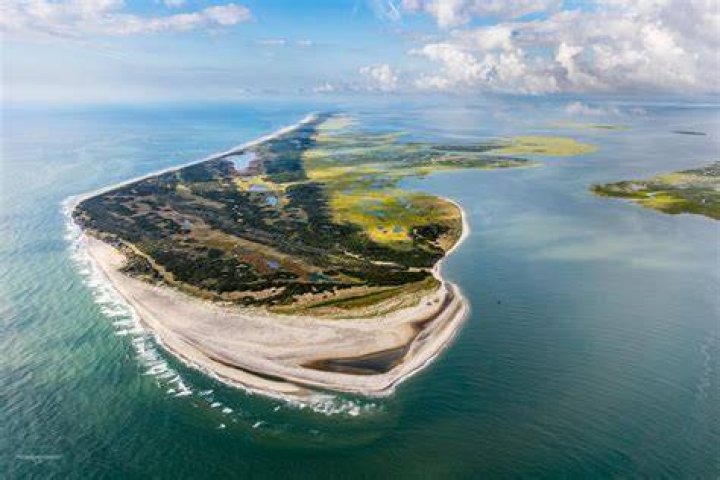 Hog Island