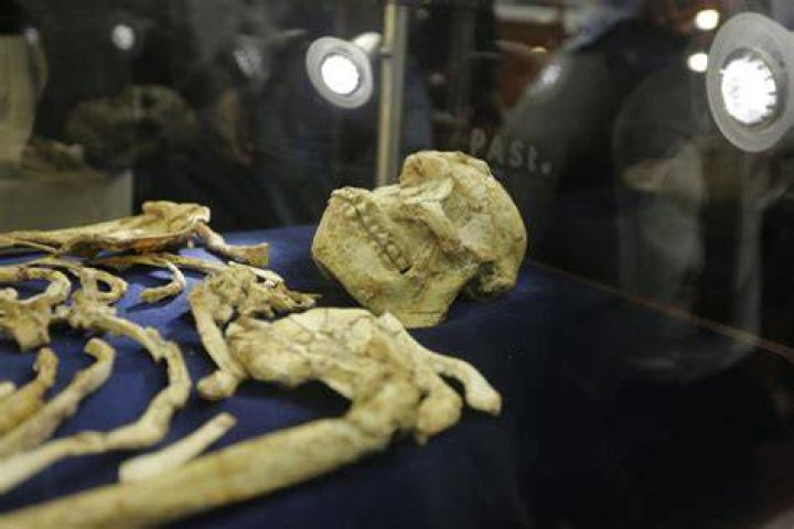 Hominid Little Foot