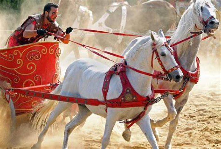 Horse And Chariot