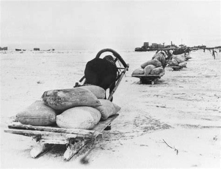 Horses Pull Supplies To Leningrad