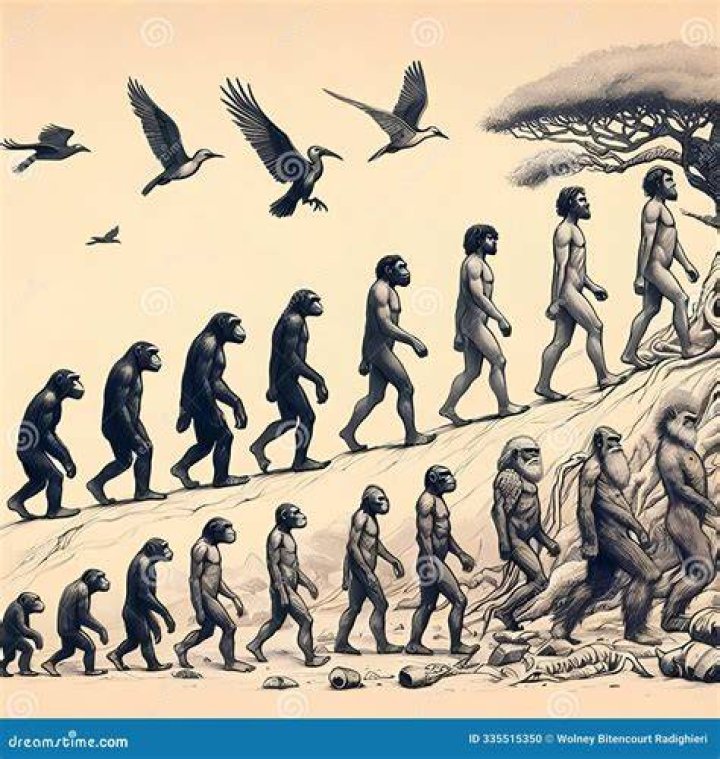Illustration Of Human Species