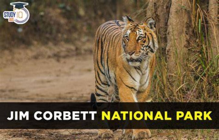 Jim Corbett