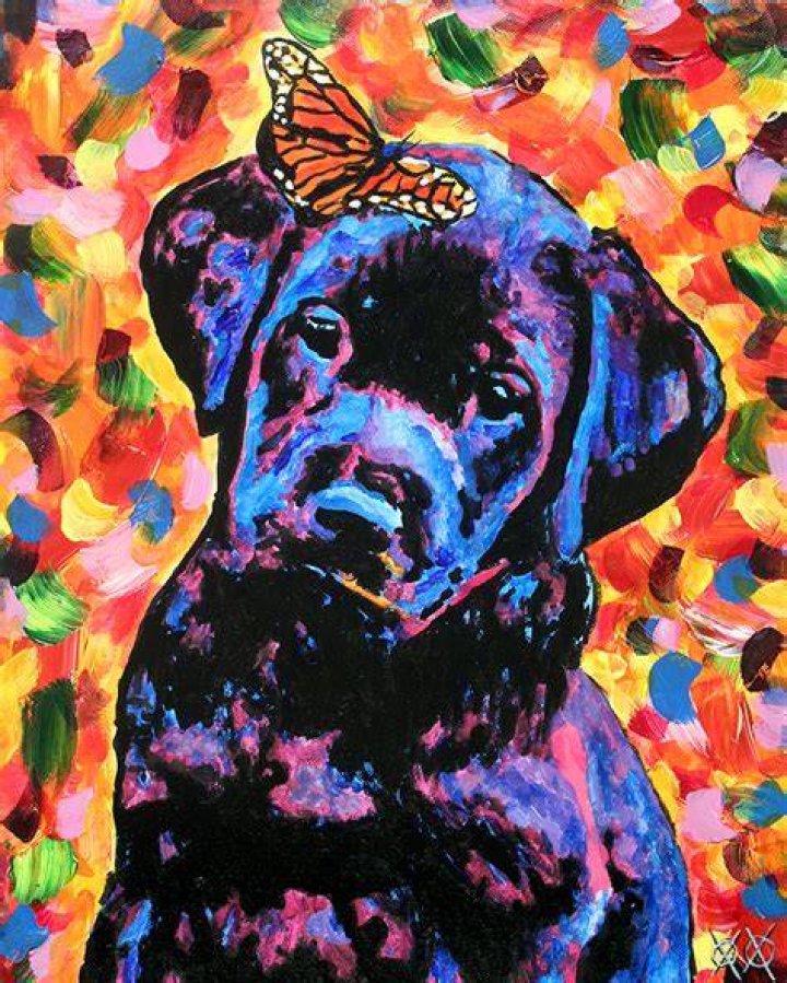 john bramblitt dog echo