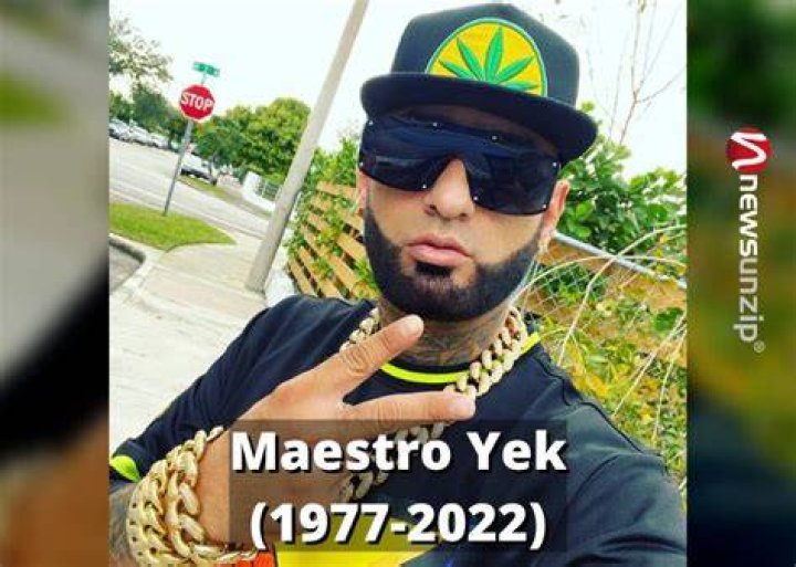 Maestro Yek height
