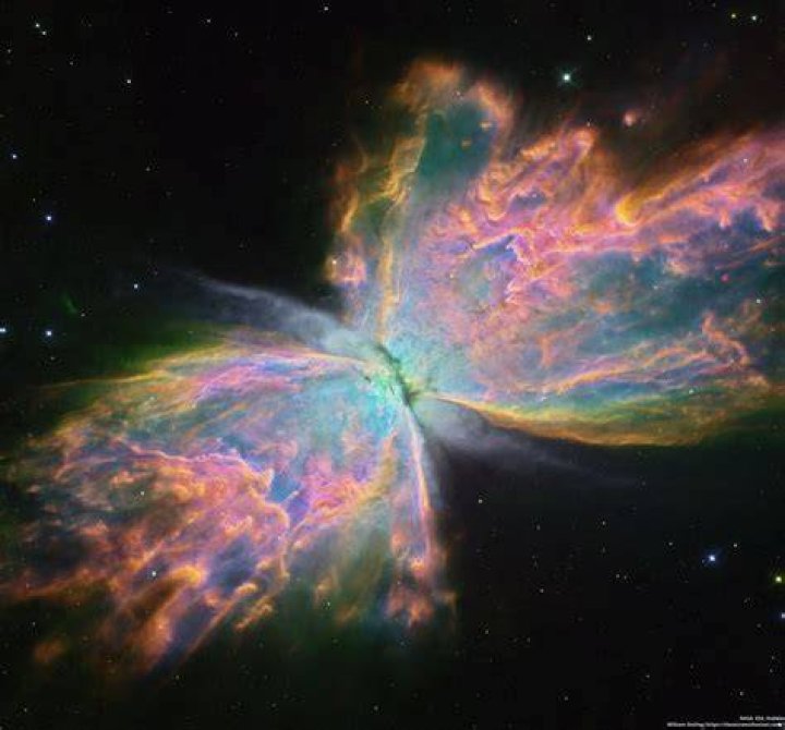 Nebulae Photos Butterfly