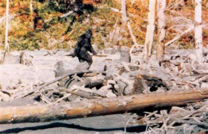 Patterson Gimlin Film Still