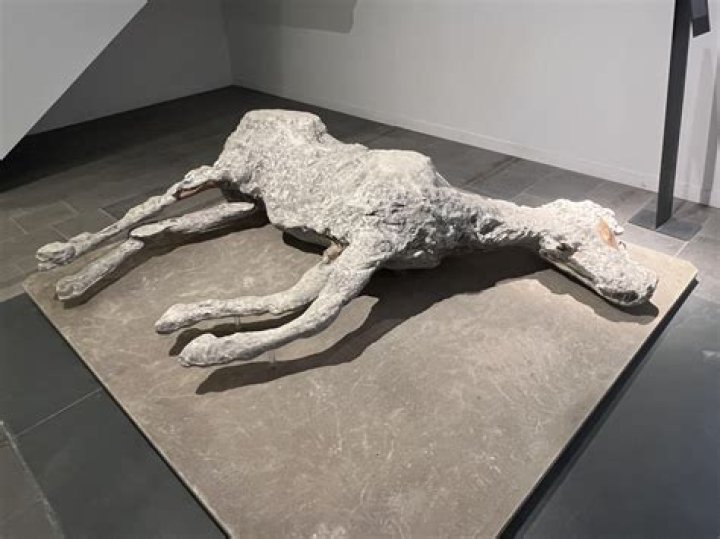 Pompeii Horse
