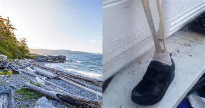 Salish Sea Feet Mystery