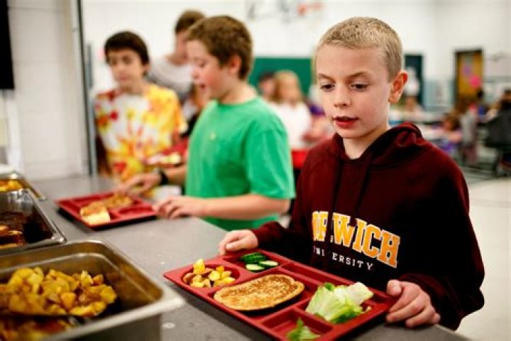 School lunch in the United States: hot dog with chili