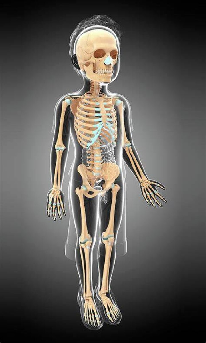 Skeleton Of Sacrificed Child