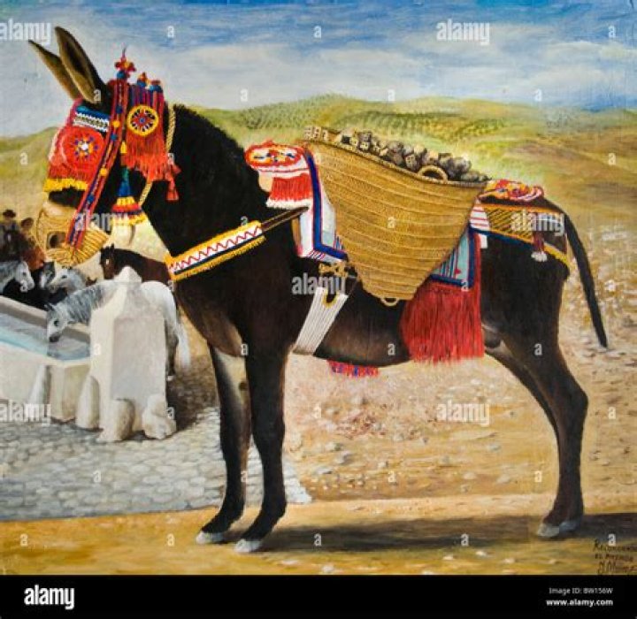 Spanish Donkey In A Museum