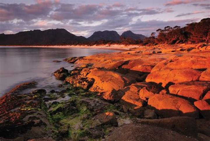 Tasmania Coast