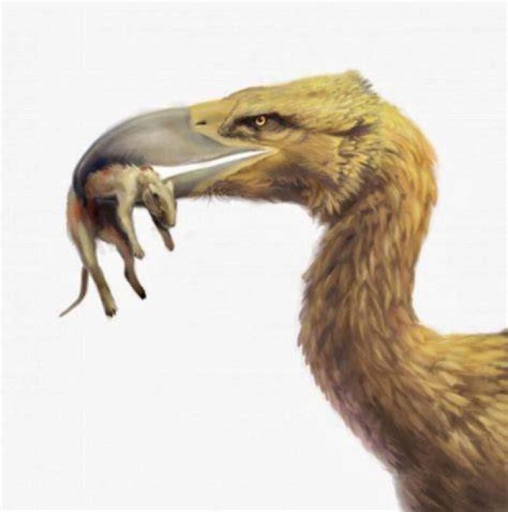 Terror Bird With Prey