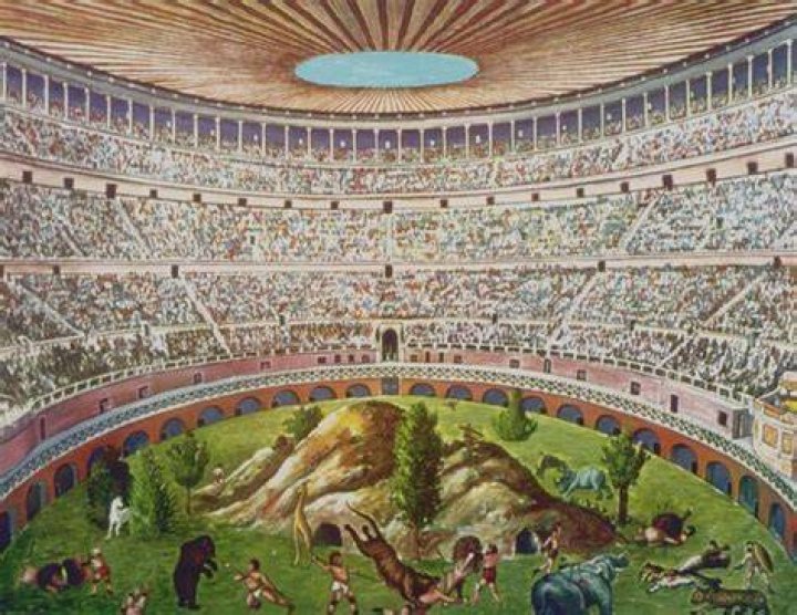 Venationes Inside Colosseum