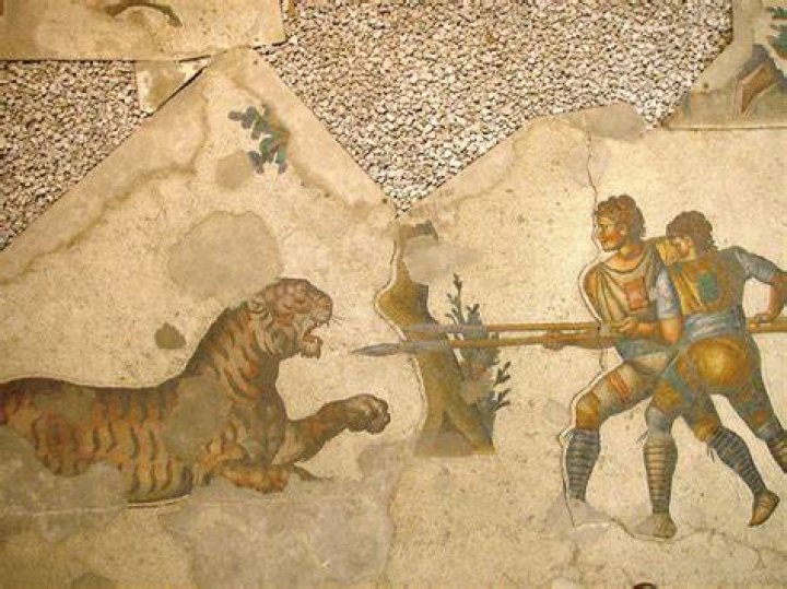 Venatores Fighting