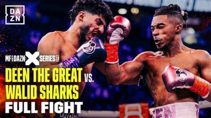 Walid Sharks fights