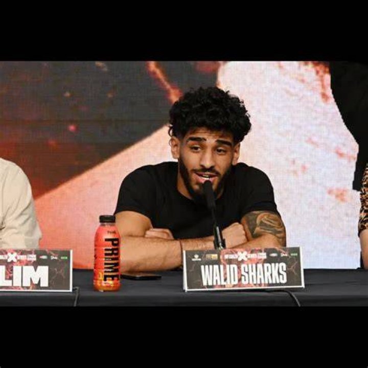 Walid Sharks net worth