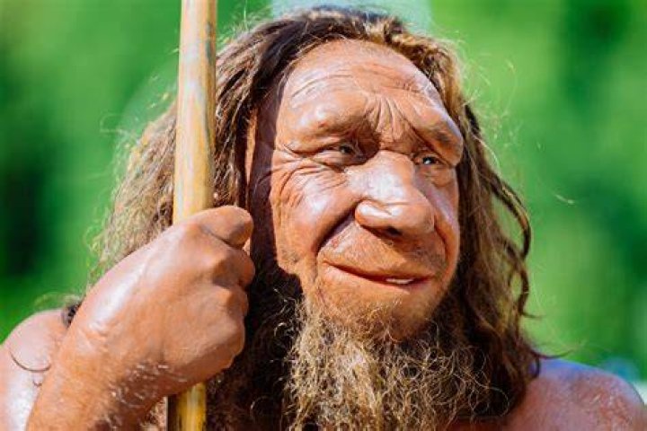 What Are Neanderthals
