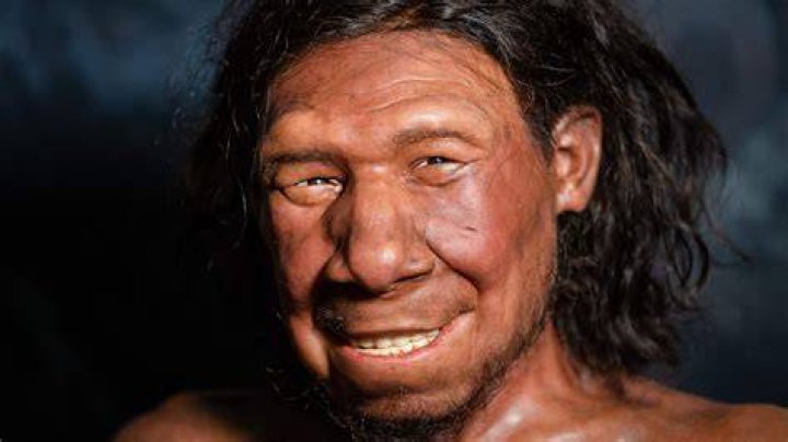 What Is A Neanderthal